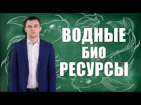 Видео: Правовое регулирование охраны и использования водных био-ресурсов