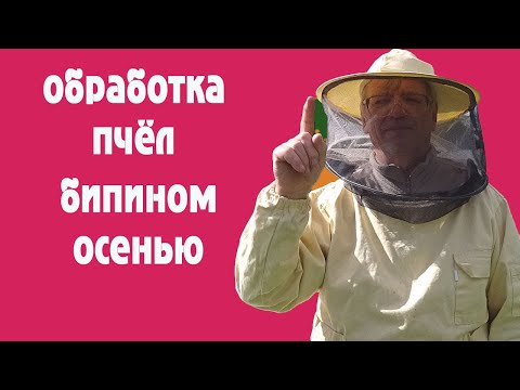 Видео: Обработка пчёл бипином осенью.