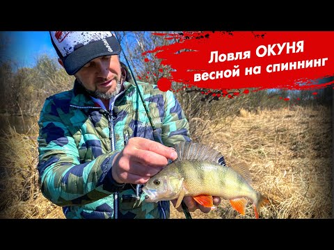 Видео: ОКУНЬ весной на спиннинг. Расскажем как можно и нужно ловить!