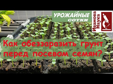 Видео: Обеззараживание грунта для рассады: нюансы, ошибки и рекомендации. Как же оставить грунт живым?