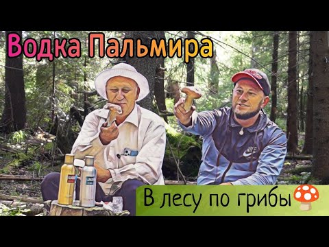 Видео: Водка Пальмира, "Тихая охота" на Белые грибы!