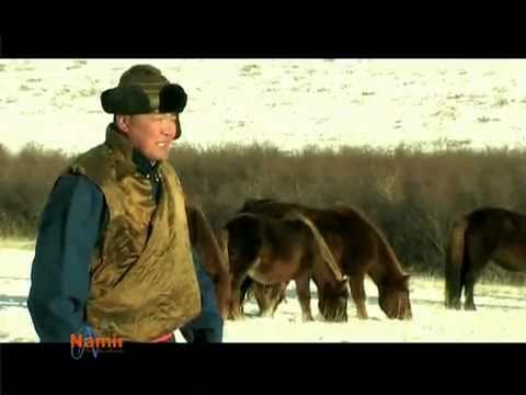 Видео: Дуучин Мөнхбат. Манай Адуу