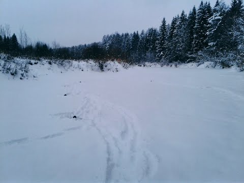 Видео: ЗИМНЯЯ РЫБАЛКА НА РЕКЕ ВОЛ (НИЖЕГОРОДСКАЯ ОБЛ., ВЕТЛУЖСКИЙ Р-Н)