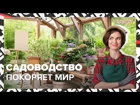 Видео: САДОВОДЫ ТРАТЯТ МИЛЛИОНЫ? | Новый тренд в мире | Специальный репортаж