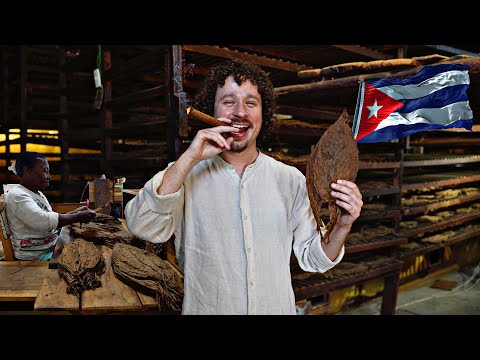 Видео: Я зашёл на сигарную фабрику на Кубе: лучшие сигары в мире? 🇨🇺