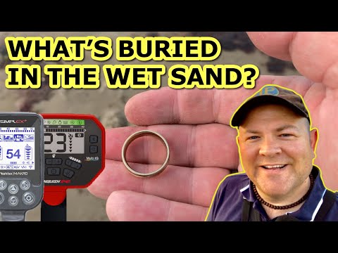 Видео: SIMPLEX+ VANQUISH 540 Металлоискатель для мокрого песка на пляже, Великобритания, 2020