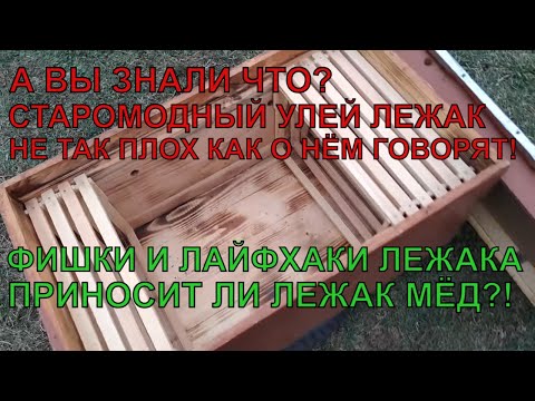 Видео: Старомодный УЛЕЙ ЛЕЖАК работа и лайфхаки с лежаком ПРИНОСИТ ЛИ ЛЕЖАК МЁД ✅☝️🐝