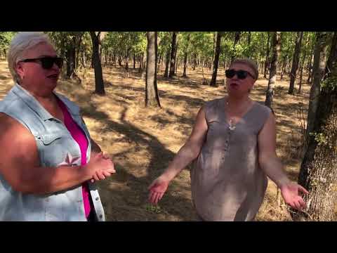 Видео: Кофе-тайм в лесу 🌳 наслаждаемся с сеструлей природой 😌 ПОДПИСЫВАЙСЯ И СТАВЬ НАМ ЛАЙК 🤗😉