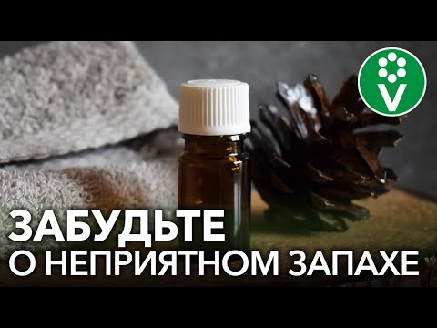 Видео: КАК ИЗБАВИТЬСЯ ОТ ЗАПАХА СТАРОСТИ И ОМОЛОДИТЬ КОЖУ? Простой и эффективный рецепт