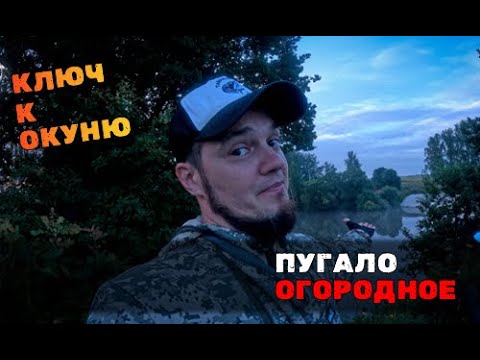 Видео: Вторая забродка  Утро и ScareCraw