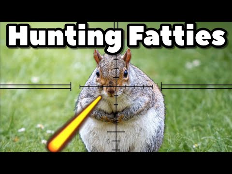 Видео: Белки — отстой!