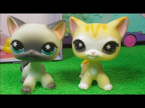 Видео: LPS СТОЯЧКА С ТАКСОЙ 2024 ГОДА G7 ТРЕТЬЯ ВОЛНА