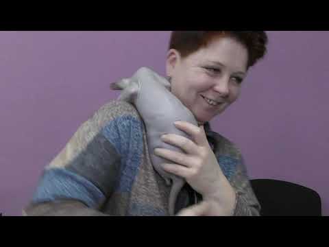 Видео: Как защититься от вымогательств заводчика.