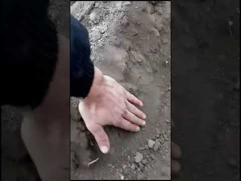 Видео: Как должны стоять тяги чтобы плуг сам заходит в землю