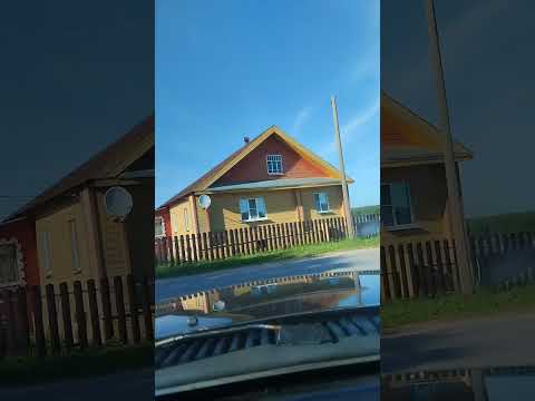 Видео: д.Васильево, Бабушкинский район Вологодская область #вологда#деревня #деревенскаяжизнь#путешествия