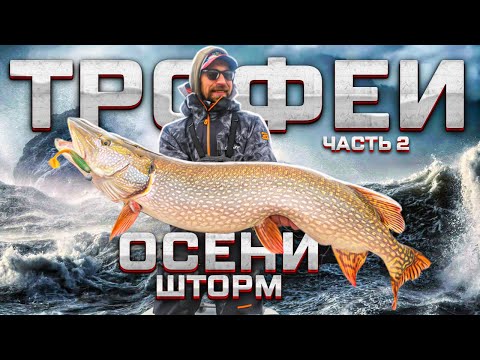 Видео: ЗДОРОВЕННЫЕ щуки на каждом ЗАБРОСЕ / ЗАТЯНУЛО в ШТОРМ
