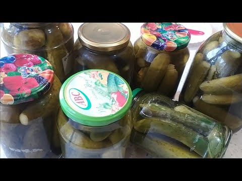 Видео: Это самые вкусные огурцы. С яблочным уксусом. Хрустящие.Кисло - сладкие.Без стабилизации.