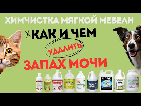 Видео: Как и чем удалить запах мочи с дивана или матраса? Химчистка мягкой мебели