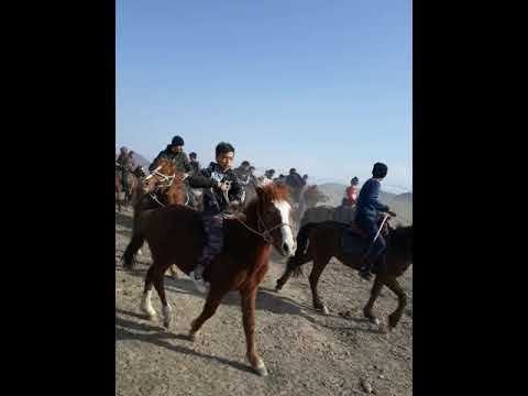Видео: Дардамты 22.03.2019