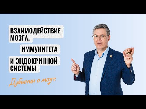 Видео: Дубынин о мозге: взаимодействие мозга, иммунитета и эндокринной сферы