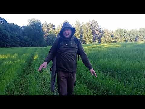 Видео: Небольшая прогулка в лес и стрельба Hatsan Flash W 6.35