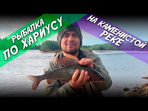 Видео: Рыбалка по хариусу на каменистой реке