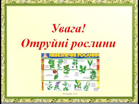 Видео: Урок 88 ЯДС Отруйні рослини 2 клас Жаркова