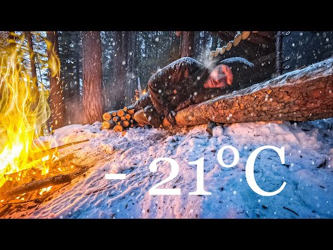 Видео: ИСПЫТАНИЕ МОРОЗОМ: НОЧЕВКА в ЗИМНЕМ ЛЕСУ без ПАЛАТКИ и СПАЛЬНИКА! ВЫЖИТЬ в МЕТЕЛЬ - ЛАГЕРЬ ВЫЖИВШИХ