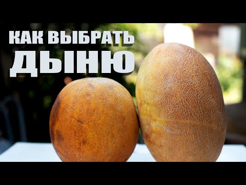 Видео: Как правильно выбрать сладкую спелую дыню. Торпеда vs. Колхозница