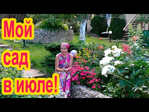 Видео: Мой участок в июле и планы на месяц