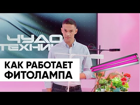 Видео: Как работают ФИТОЛАМПЫ?