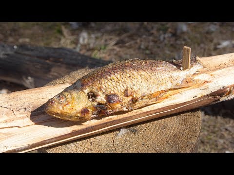 Видео: Как вкусно приготовить рыбу на костре (Survival Tips - How to Kill, Fillet and Cook Fish)