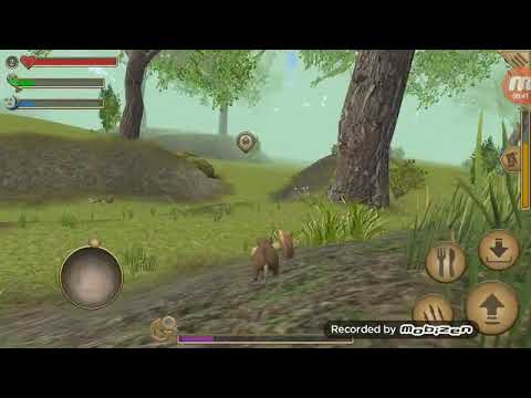 Видео: #мышка