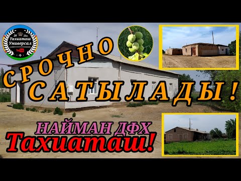 Видео: СРОЧНО 2-ЖАЙ САТЫЛАДЫ#тахиаташ#каракалпакистан#узбекистан#казакстан#жай#уй#сатылат#продажи#арзан#дом