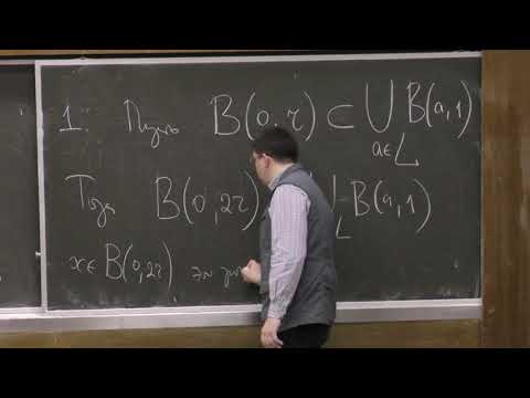 Видео: Шапошников С. В. - Математический анализ II - 9. Предел функции