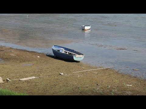 Видео: Продолжува повлекувањето на водата во Преспанското Езеро