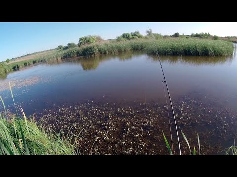 Видео: Спінінгова риболовля на щуку та окуня! Ловля на наноджиг та мормишинг літом! Рибалка на спінінг 2023