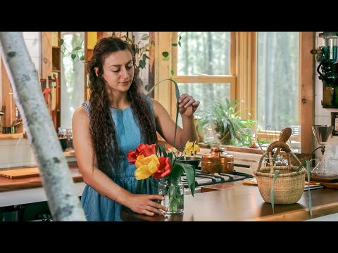 Видео: Первая неделя в крошечном домике без доступа к электросети