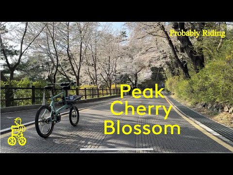 Видео: Моргни и ты это пропустишь