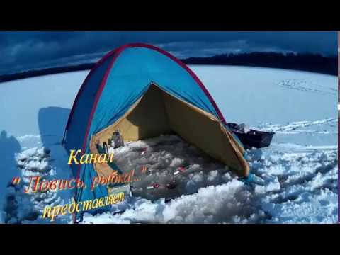 Видео: Выбор места для ловли леща зимой на озере (стационарно)