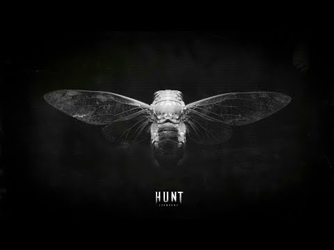 Видео: Hunt Showdown 1896 | Охота с рандомами