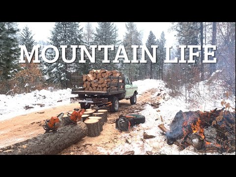 Видео: Заготовка дров и костер! 🔥 🌲 🪓 🪵 ❄️