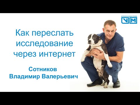 Видео: Почему и как переслать исследование через интернет и почему именно так.