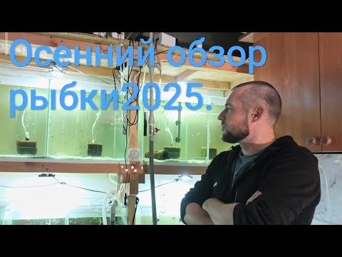 Видео: Осенний обзор рыбок 2025. Причина гибели рыбок.