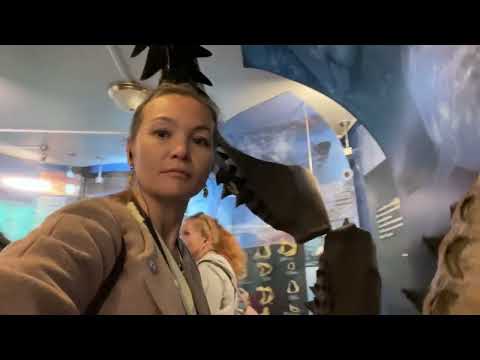 Видео: Музей мирового океана, Калининград