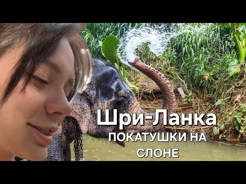 Видео: Fasoollka | ВЛОГ День 2 Шри-Ланка, покатушки на слонах