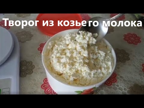 Видео: Творог из козьего молока.