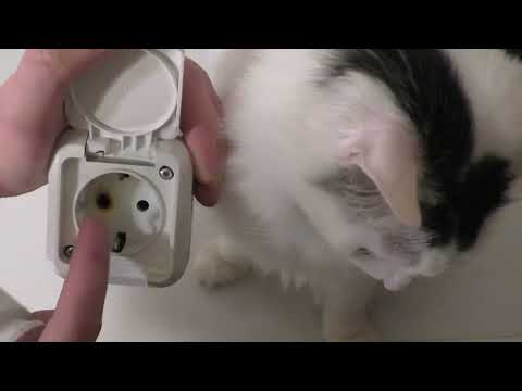 Видео: Как легко заменить вилку на любом электрическом приборе