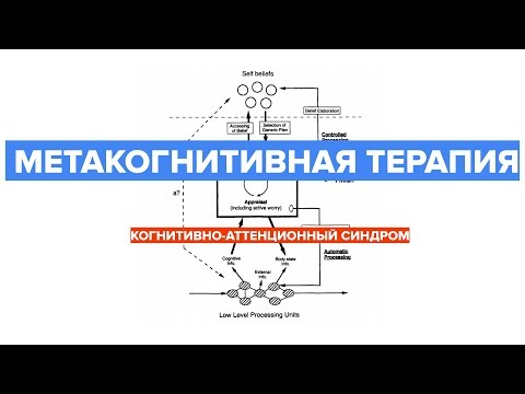 Видео: Метакогнитивная терапия — Когнитивно-аттенционный синдром (Ярослав Исайкин)