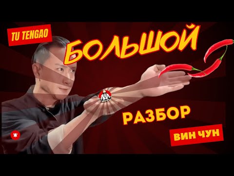 Видео: Вин Чун от Ту Тенг Яо (Tu Tengyao), Большой разор техник Мастера! Ч.2 #винчун #разбор #tutengyao